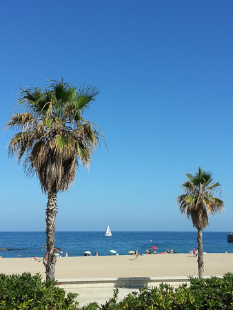 Palm trees frame beach umbrellas on the Mediterranean Sea with sailboat
